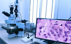 Pathology